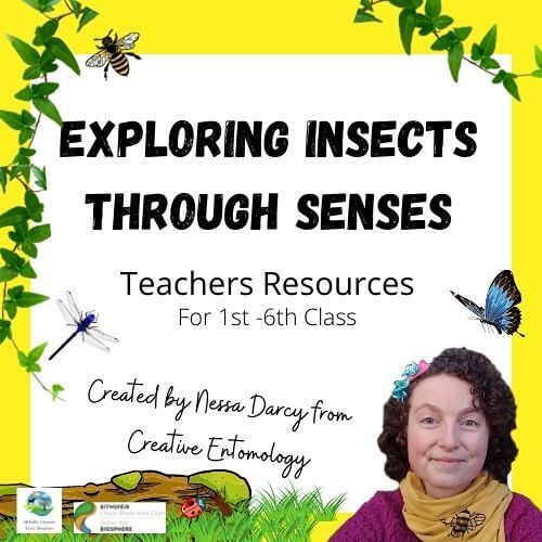 Nature Series online for Primary Schools