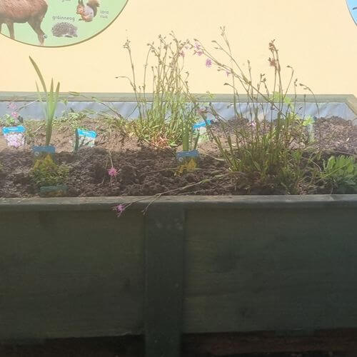 Final Rainwater Planters